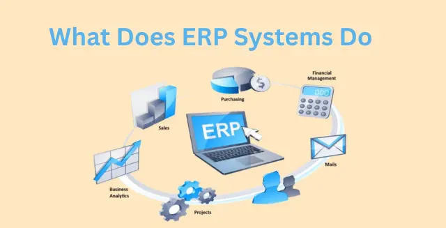 What Does ERP Systems Do?